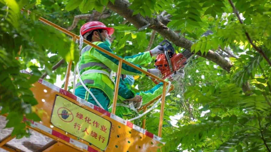 金年会官方网站入口:物流智能仓储定制 金年会官方网站入口:物流智能仓储定制