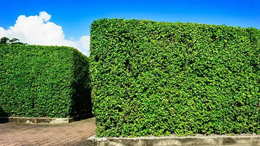 金年会:能源数字化智能化产业规模 金年会:能源数字化智能化产业规模