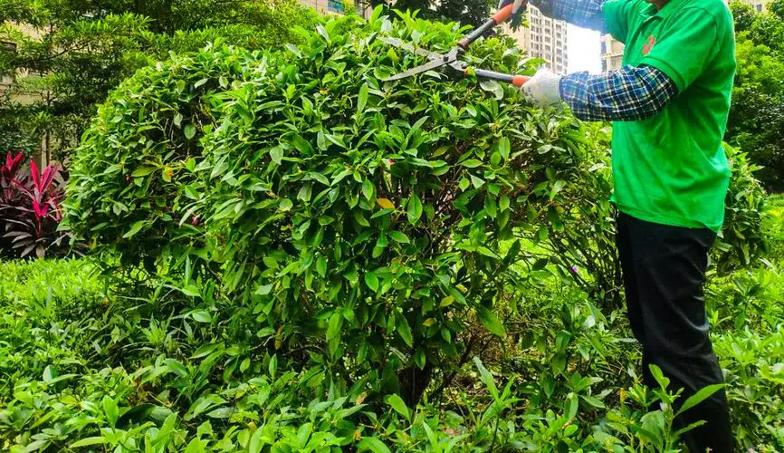 淮安医院智能物流项目招标